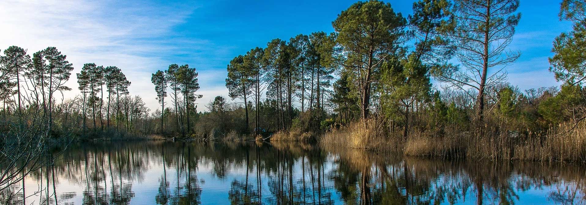 Taxi dans les Landes